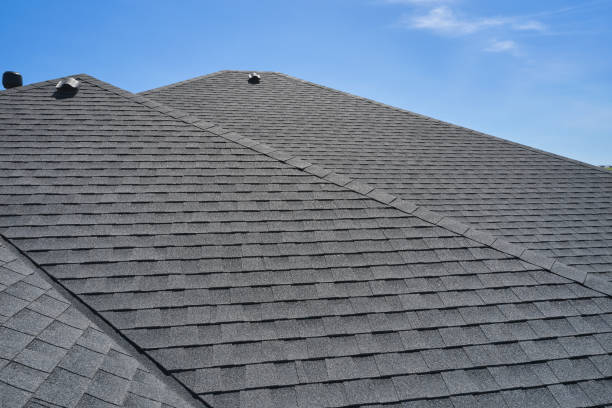 Best Solar Panel Roofing Installation  in Boone, IA